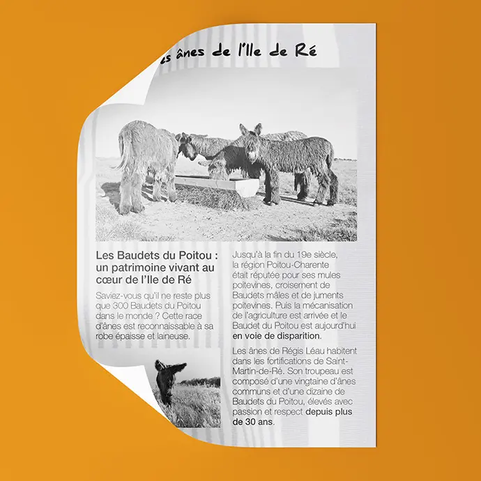 Flyer L'âne en culotte